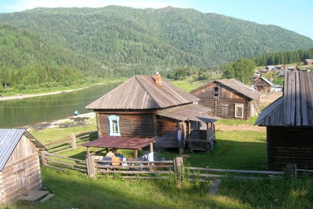 Дома на опушке леса
