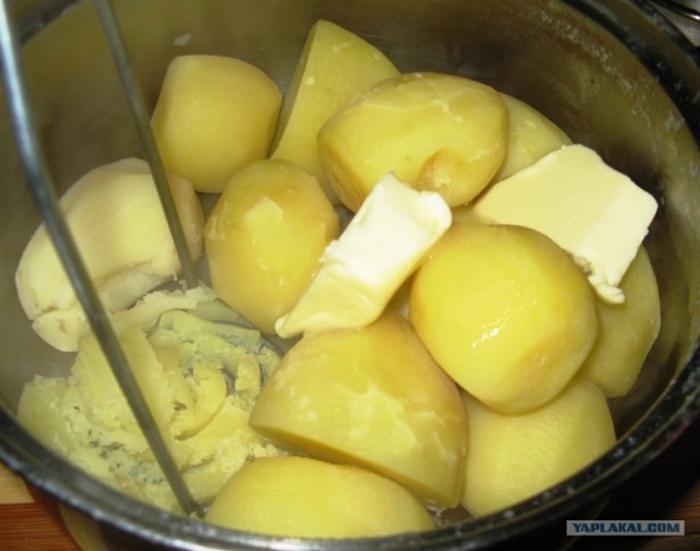 Праздничный обед для чайников от Дженибека&Бомжыка