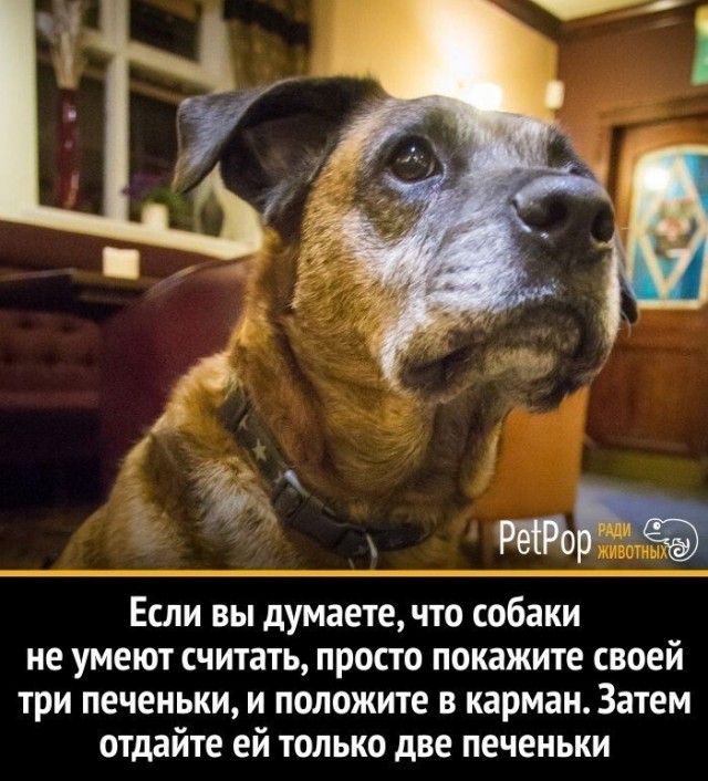 Картинки и мемы для настроения