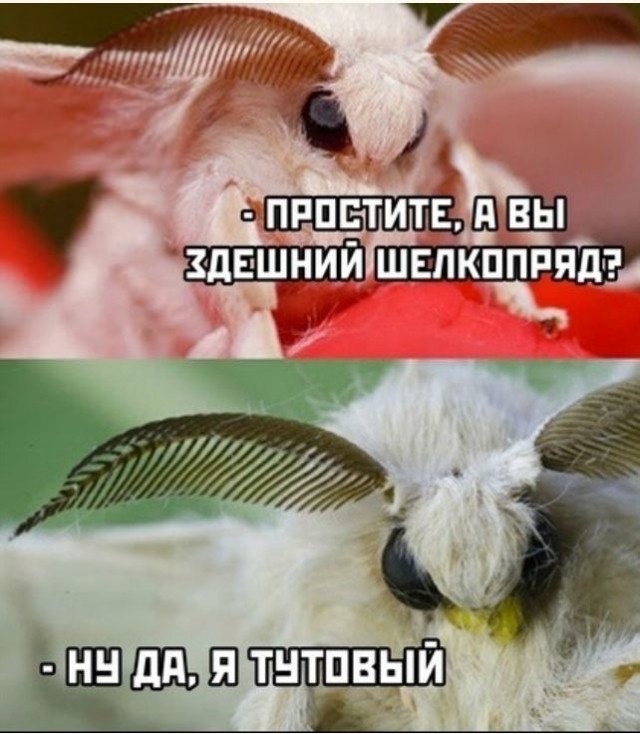 Картинки с надписями и всякие жизненные фразы 10.07.21