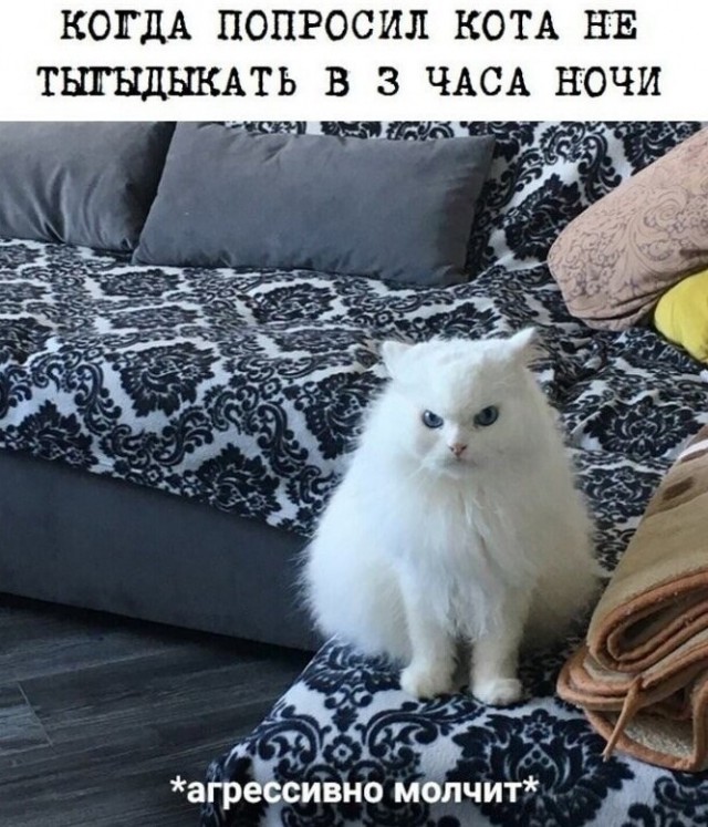 Баянисто-небаянистый юмор 19.07.21