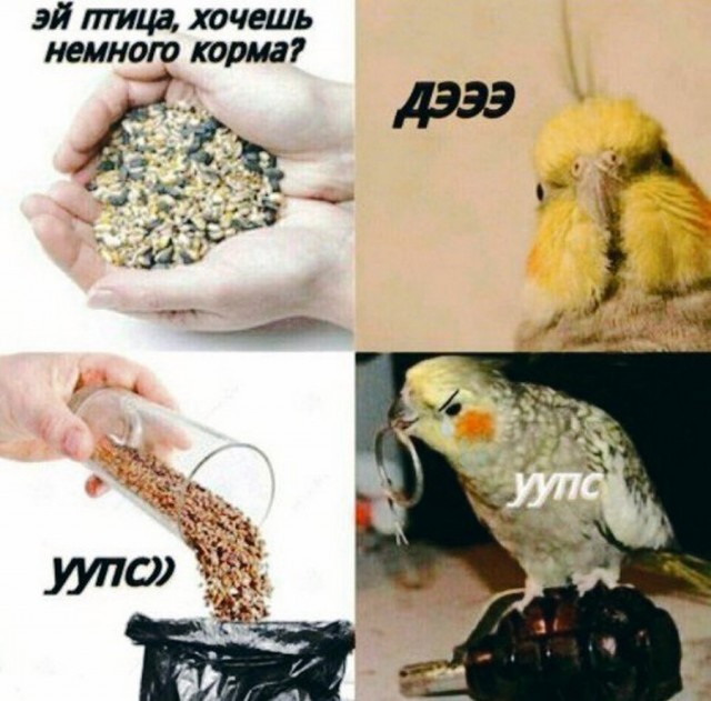 Юмор в картинках 24.08.21