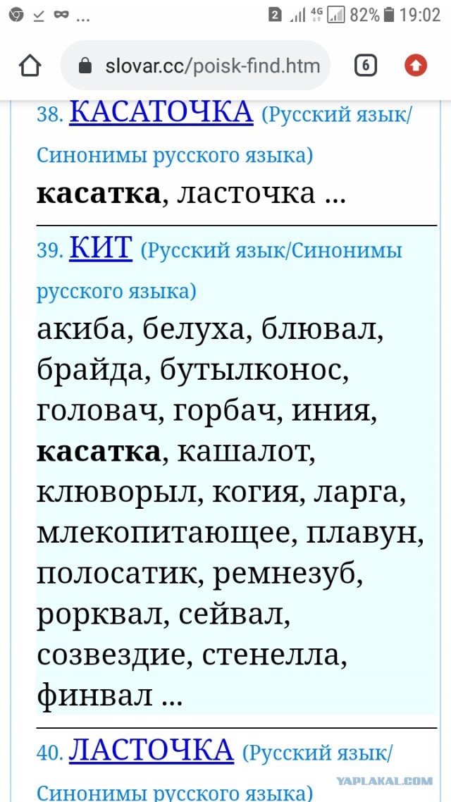 Косатки преследуют лодку