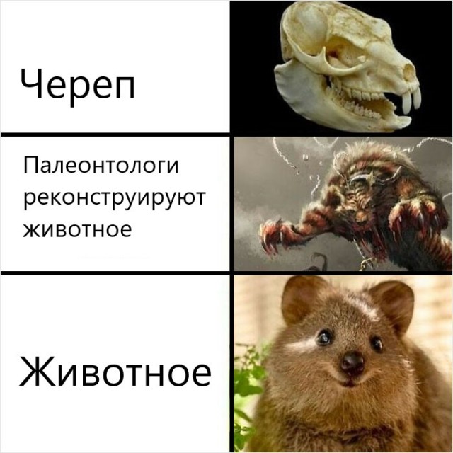 Весёлый полтишок 30.10