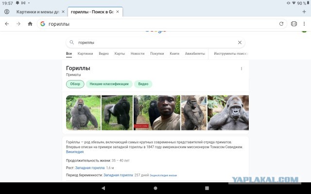 Картинки и мемы для настроения 02.11.2021