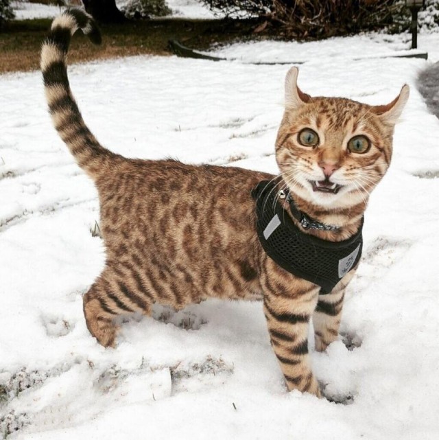 Ну, понеслась!
