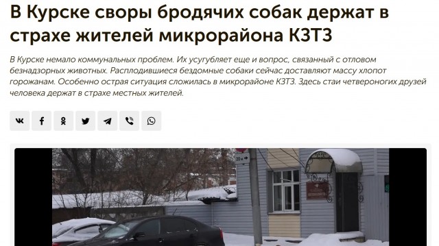 Бастрыкин поручил подготовить изменения в законе об отлове животных