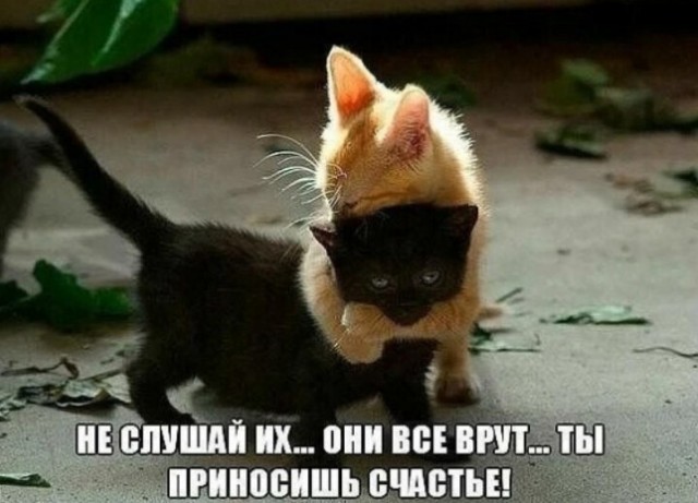 Баянисто-небаянистый юмор 4.03.22