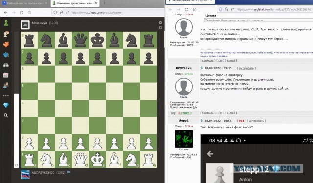 Администрация сайта chess.com скрыла флаги российских пользователей