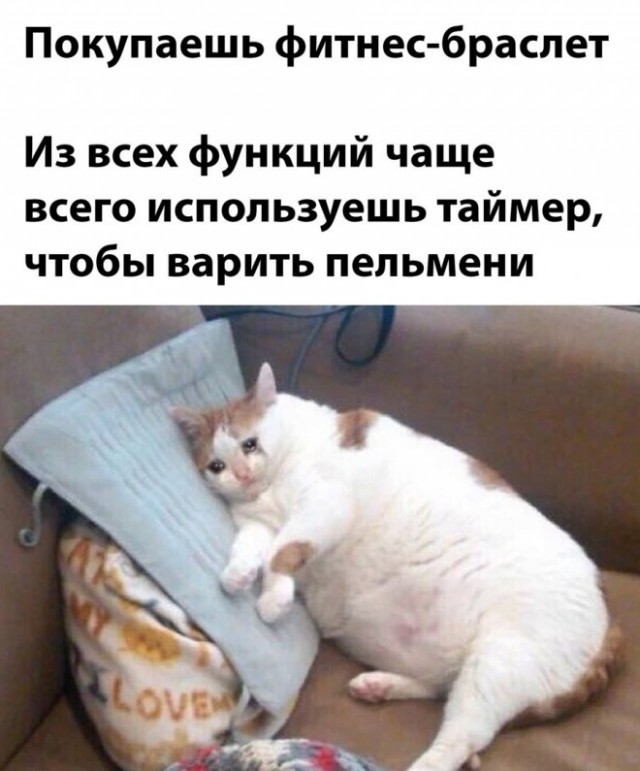 Картинки и мемы для настроения - 15