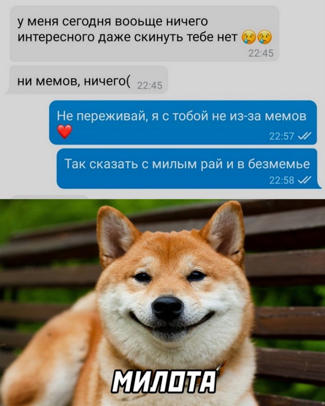 Картинки и мемы для настроения - 27