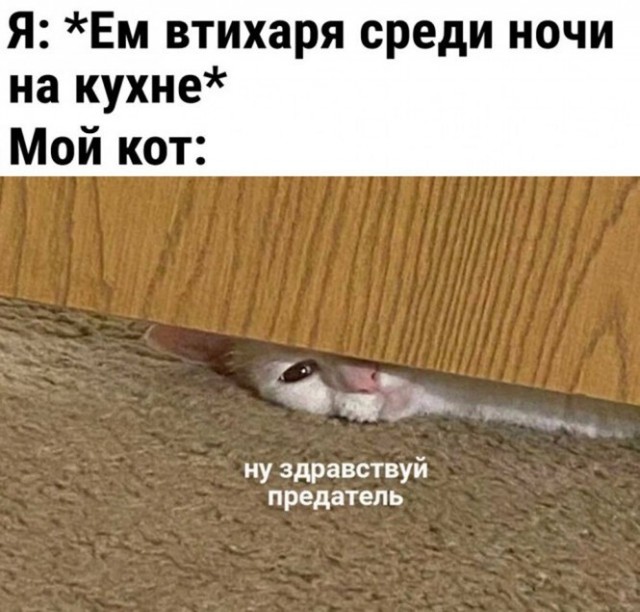 Баянисто-небаянистый юмор 29.08.22