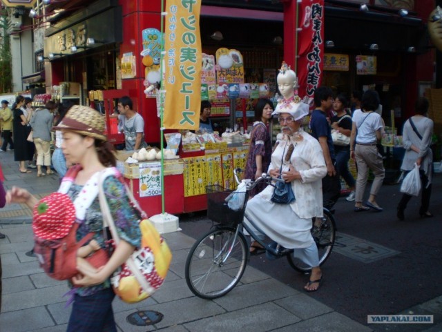 Далёкая Япония