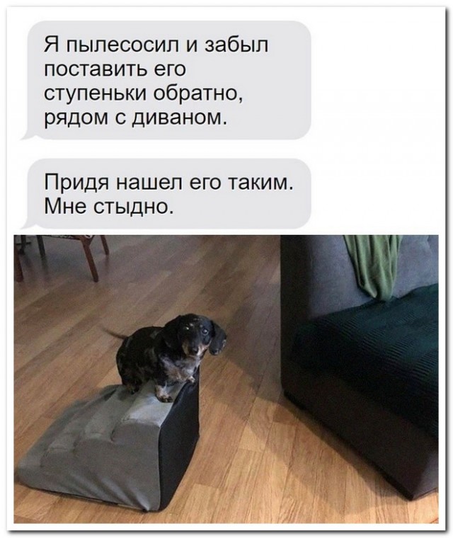 Забавные комментарии из социальных сетей (05.09.22)