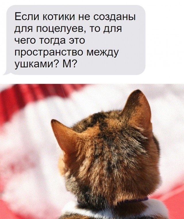 Немного картинок для настроения - 123