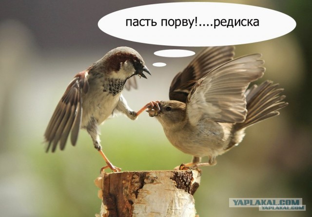 В подмосковной воинской части контрактники захотели забрать у мобилизованных часть экипировки и телефоны. Но получили кизды