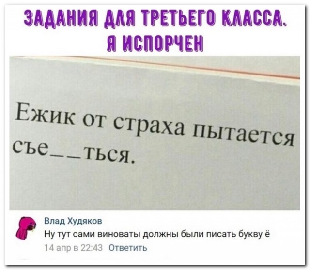 Забавные комментарии из социальных сетей (19.12.22)