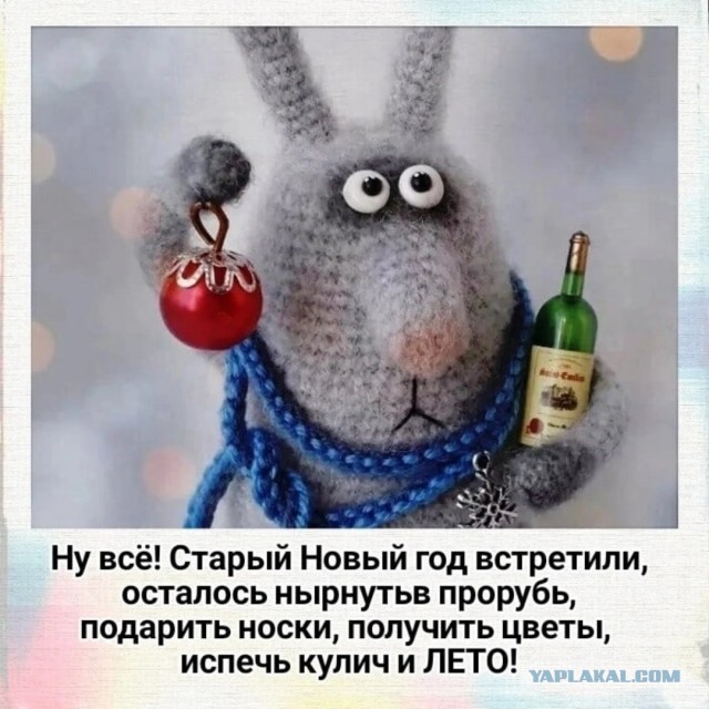 Убеждённый холостяк
