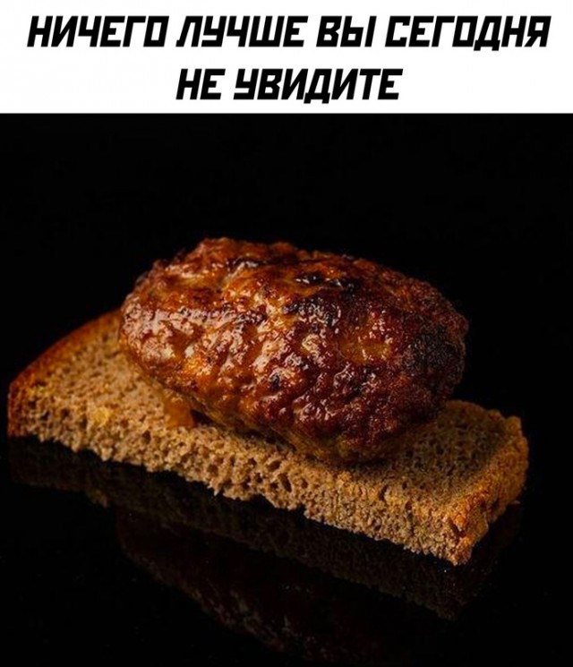 Весёлый полтишок 31.01.23