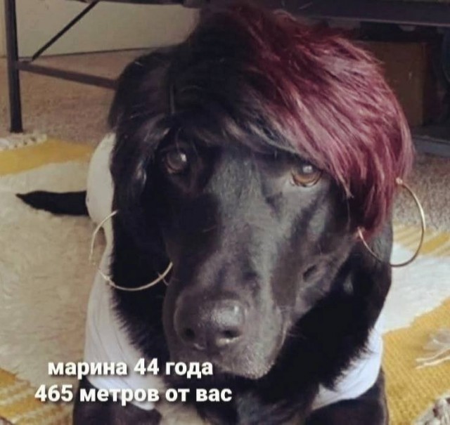 Всего понемногу. Часть 4.