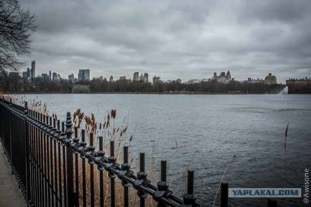 Как я в NYC ездил.