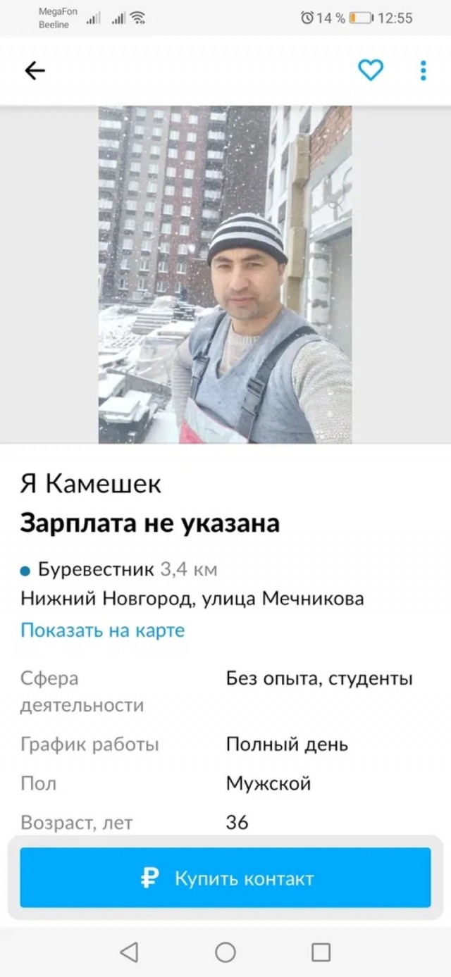 "Куриный бог"
