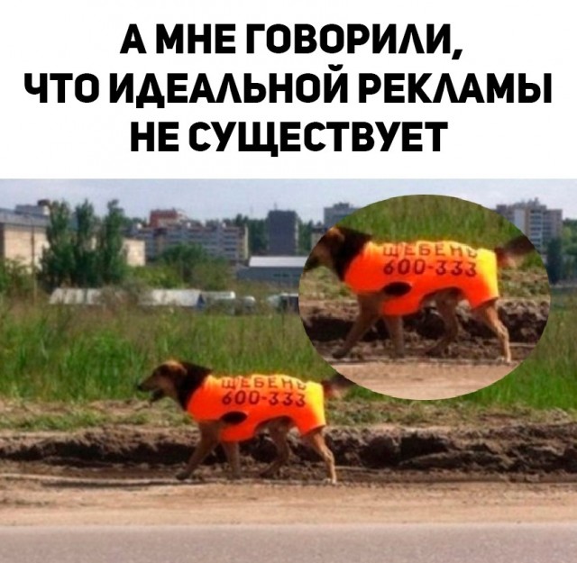 Так себе картинки 30.09.2023