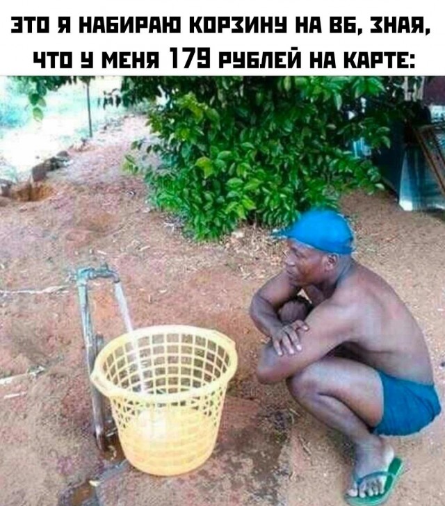 Картинок пост 1.11.2023