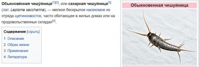 Праздник так-то