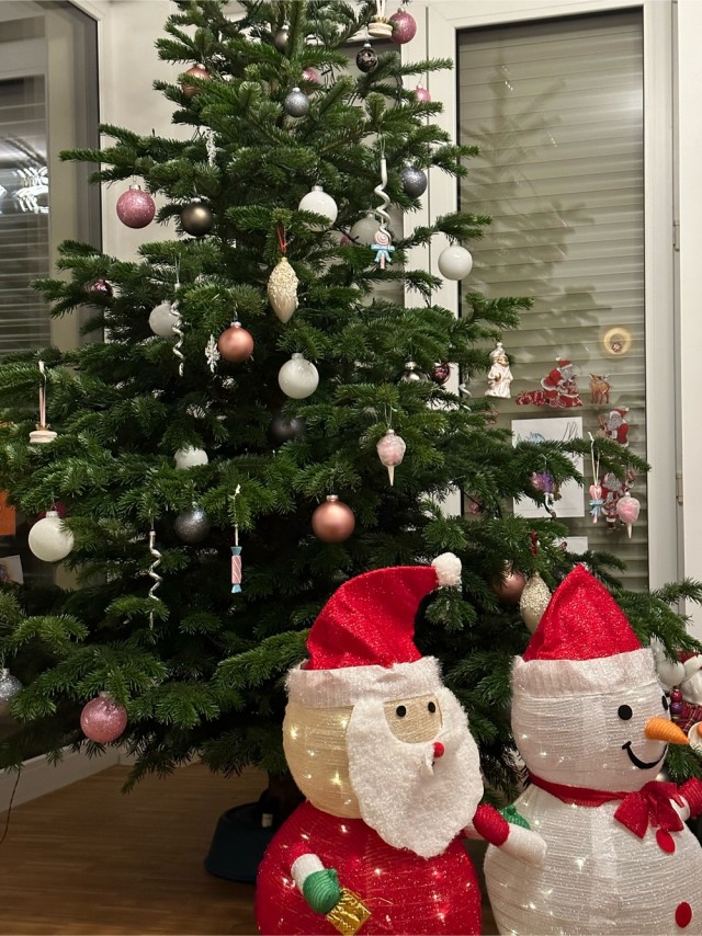 Показываем свои деревья
