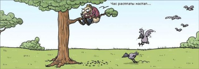 Шойгу, Герасимов, где баяны?
