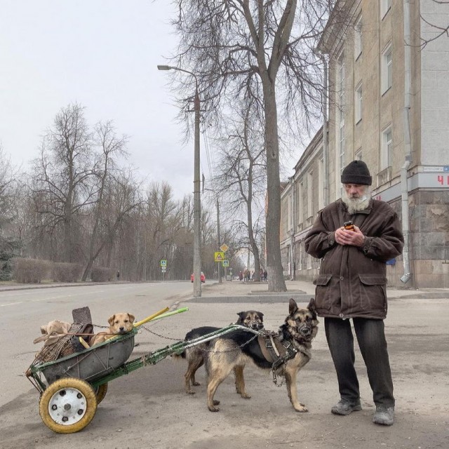 ФотоВинегрет  45  пикч