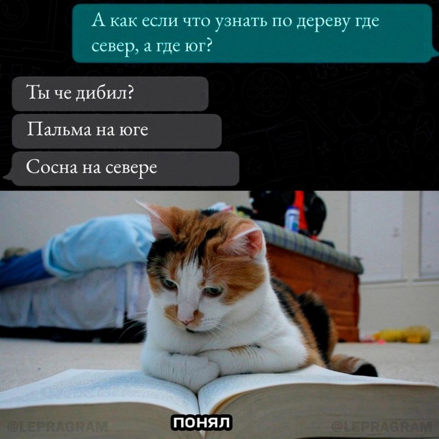 Мои избранные картинки, часть 2