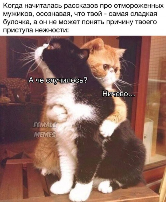 Картинки разные с надписями и без