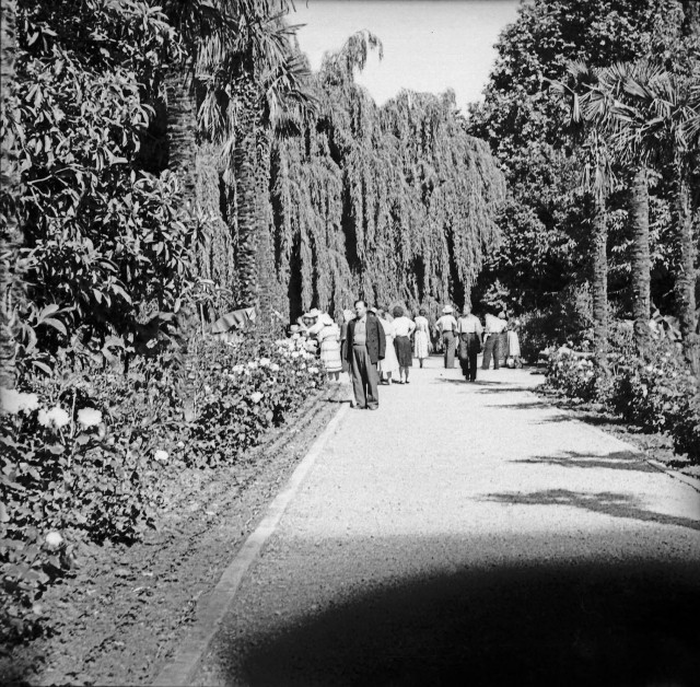 Фотолюбительство в СССР. Крым, Украина. 1957 год.