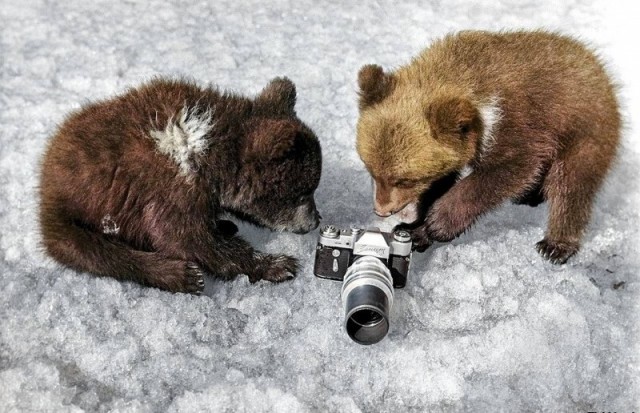 Фотографии из прошлого нашей страны – 93
