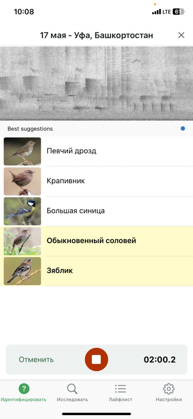 Слушайте, как поёт горихвостка
