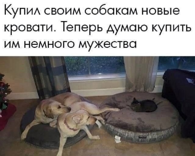 Так себе картинки 17.05.25