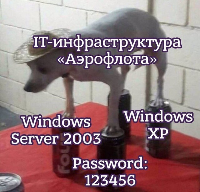Прикольные и просто красивые картинки 01.08.2025