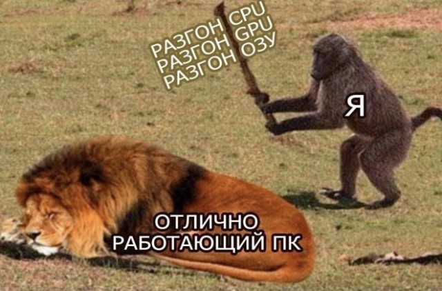 Веселые картинки в понедельник (08.01)