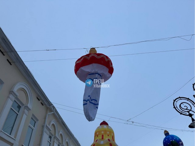 В Ульяновске на одной из улиц центра города повесили вялый…