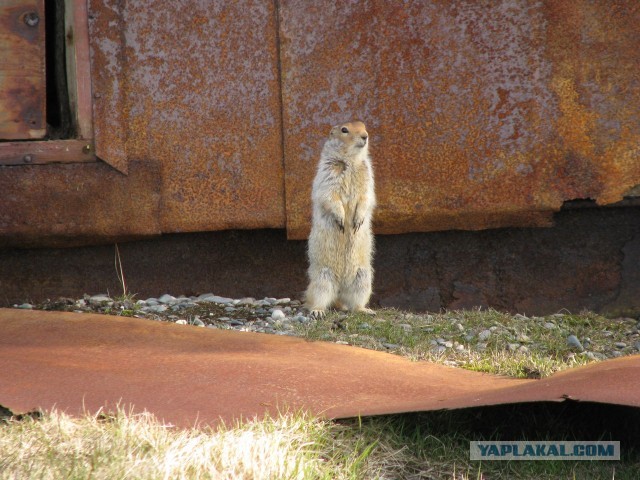 Cтанция Валькаркай
