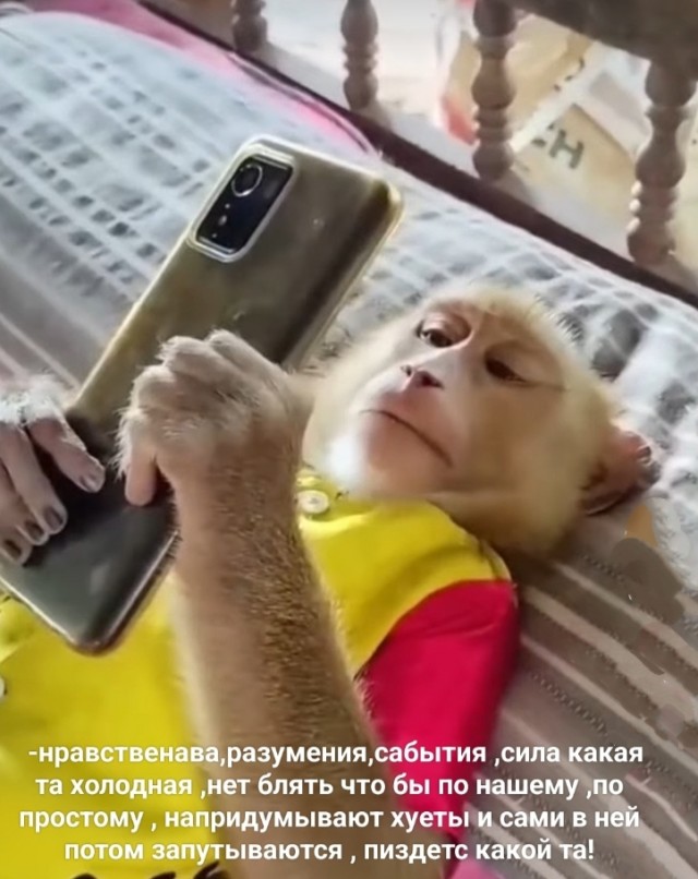 Учимся у русских писателей