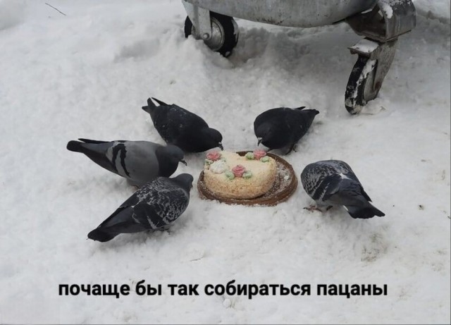 Картинки для деградации 162 (разной степени свежести)