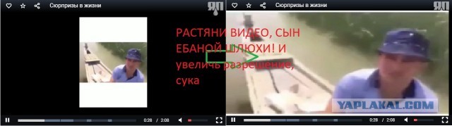 Да здравствует сюрприз