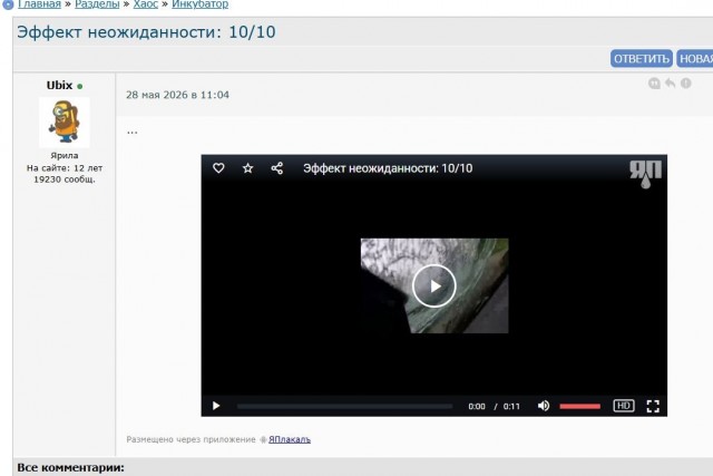 Эффект неожиданности: 10/10