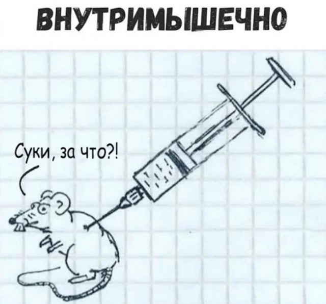Картинки для деградации 221 (разной степени свежести)