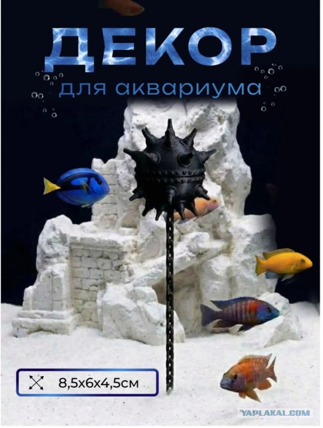Рыбы в аквариуме оценят