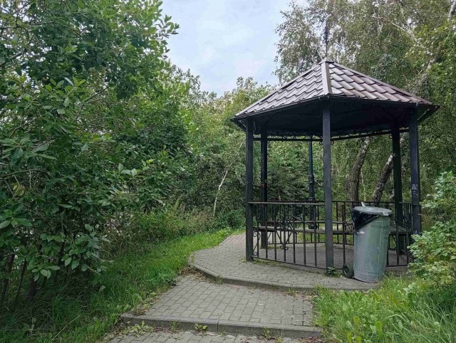 Субботний велопробег до моря