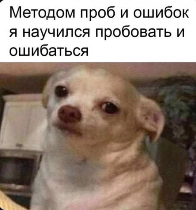 Картиночки, баянчики 01 августа